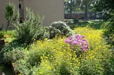 ALIM0111.webp