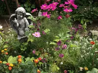 DSCF1136.webp