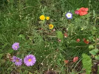 DSCF1142.webp
