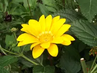 DSCF1139.webp