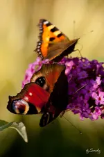 blog_6588.webp