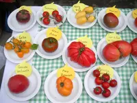 tomatenfest_i.webp tomatenfest_i.webp