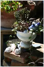herbst Deko 1.webp