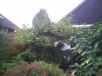 Ansicht1.6.9.2011.webp