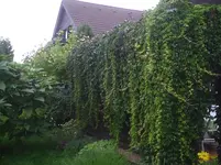 Ansicht3.5.6.2011.webp