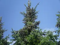 SAM_1245.webp SAM_1245.webp