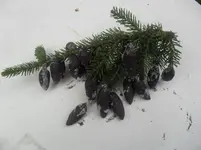 SAM_1239.webp SAM_1239.webp