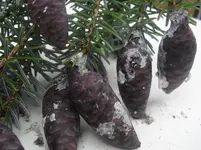 SAM_1241.webp SAM_1241.webp