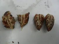 SAM_1242.webp SAM_1242.webp