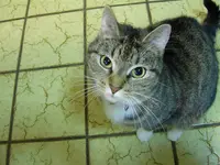 Anja (Medium).webp