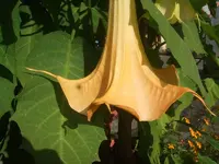 k-DSCF0077.webp