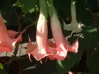 k-DSCF0078.webp