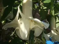k-DSCF0080.webp