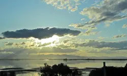 Copy of IMG_4951v.webp