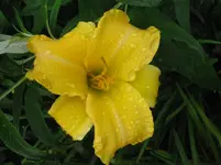 IMG_weather proof1_1067x800.webp