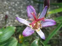 IMG_6969_1067x800.webp