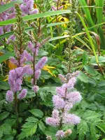 IMG_6985_600x800.webp