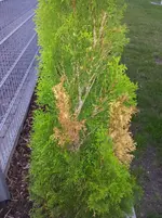 2011-09-05 20.02.05.webp