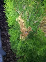 2011-09-05 20.02.11.webp
