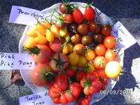 BILD0220.webp