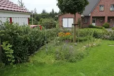 IMG_0647.webp