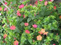 IMG_6568.webp