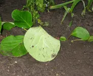 Unbenannt.webp