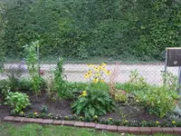 Beet nach Erstbepflanzung.webp