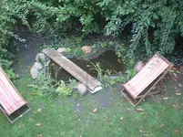 Gartenteich.webp