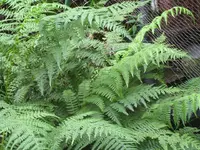 k-IMG_8566.webp