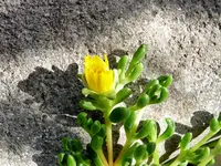 DSC02257.webp