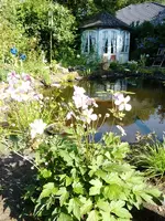 P1040470.webp