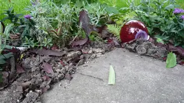 P1020564.webp