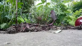 P1020566.webp