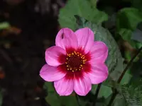 P1050564.webp