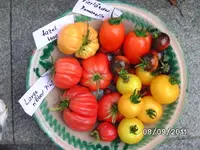BILD0225.webp