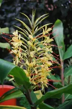 DSC_1359.webp