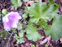 002.webp