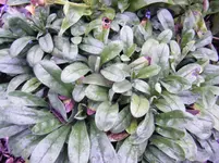 004.webp