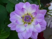 DSCI1241.webp