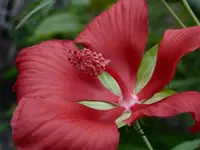 P1040474.webp