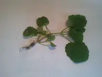 Bild 1.webp