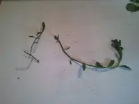 Bild 2.webp