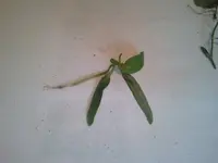 Bild 3.webp