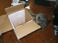 DSCF6083.webp