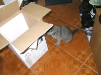 DSCF6084.webp