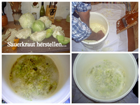 tn_Sauerkraut herstellen v.webp