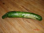 DSC00587.jpg