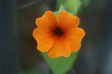 DSC06652.webp