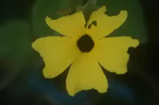 DSC06653.webp